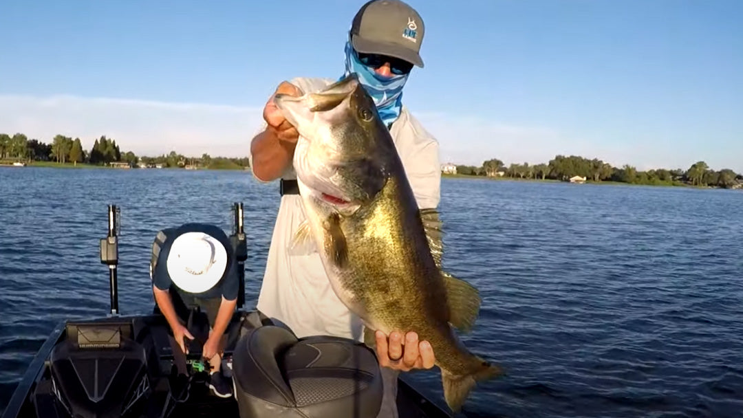How to Catch Big Bass on Paddle-Tail Swimbaits 