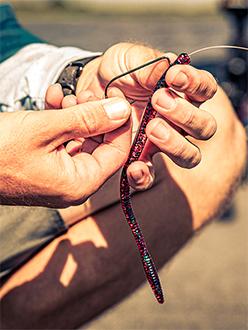 Soft Plastic Worms for Bass Fishing