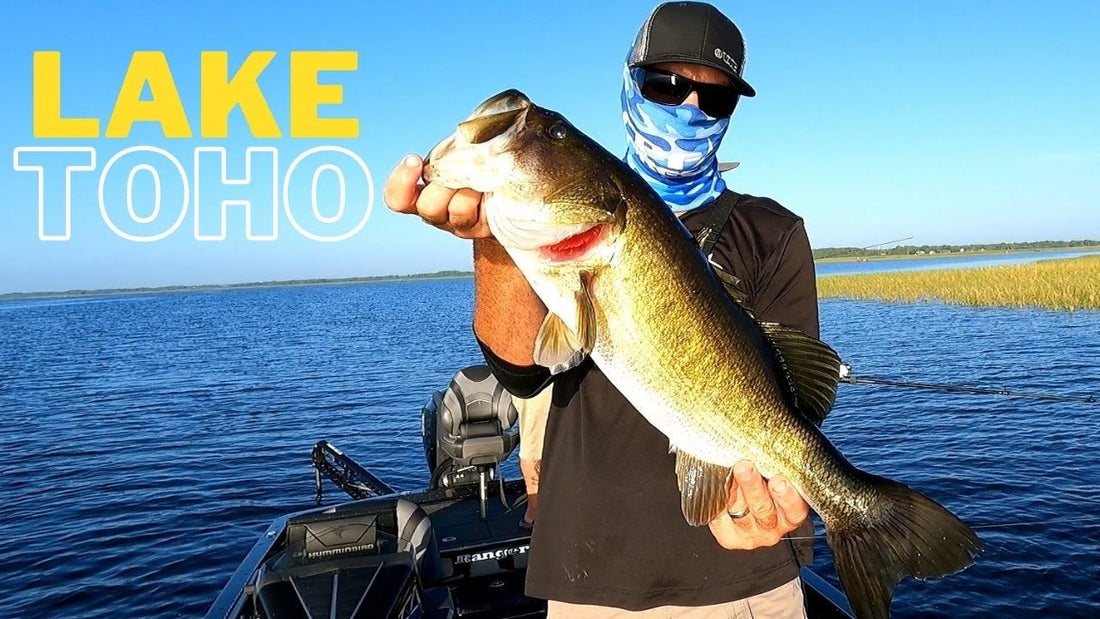 Lake Toho Bass Fishing Guide. Best Baits For Bass Fishing
