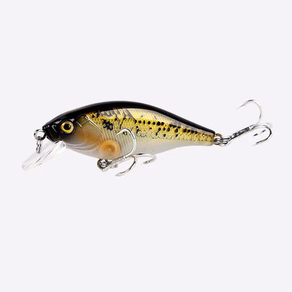 Shad Crankbait Slow Sinking